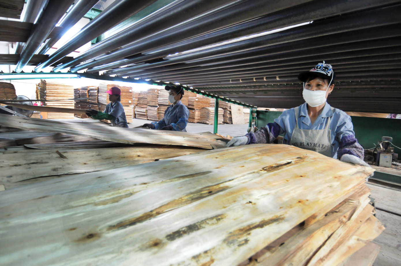 China boosts plywood exports 22% in May