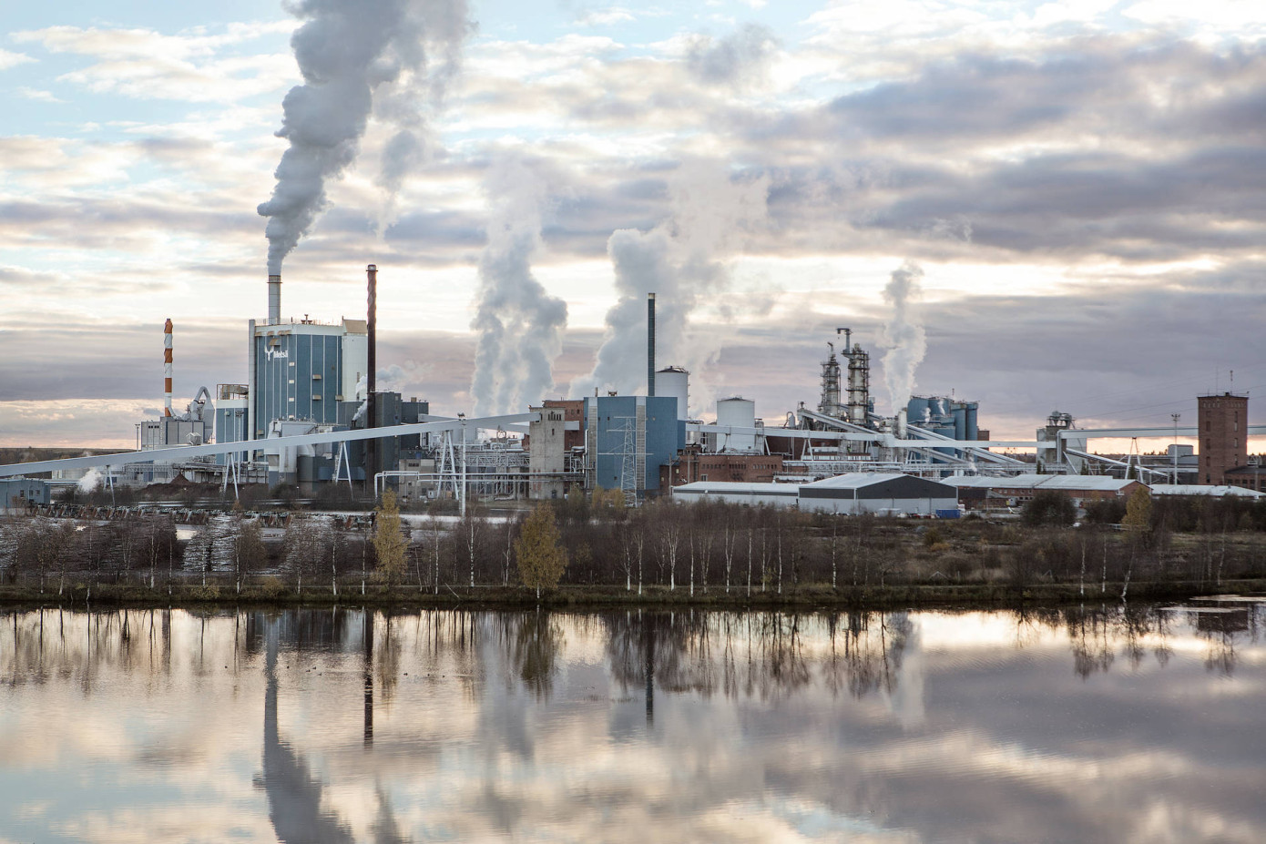 В январе-сентябре 2024 г. продажи Metsä Board снизились на 1,8%