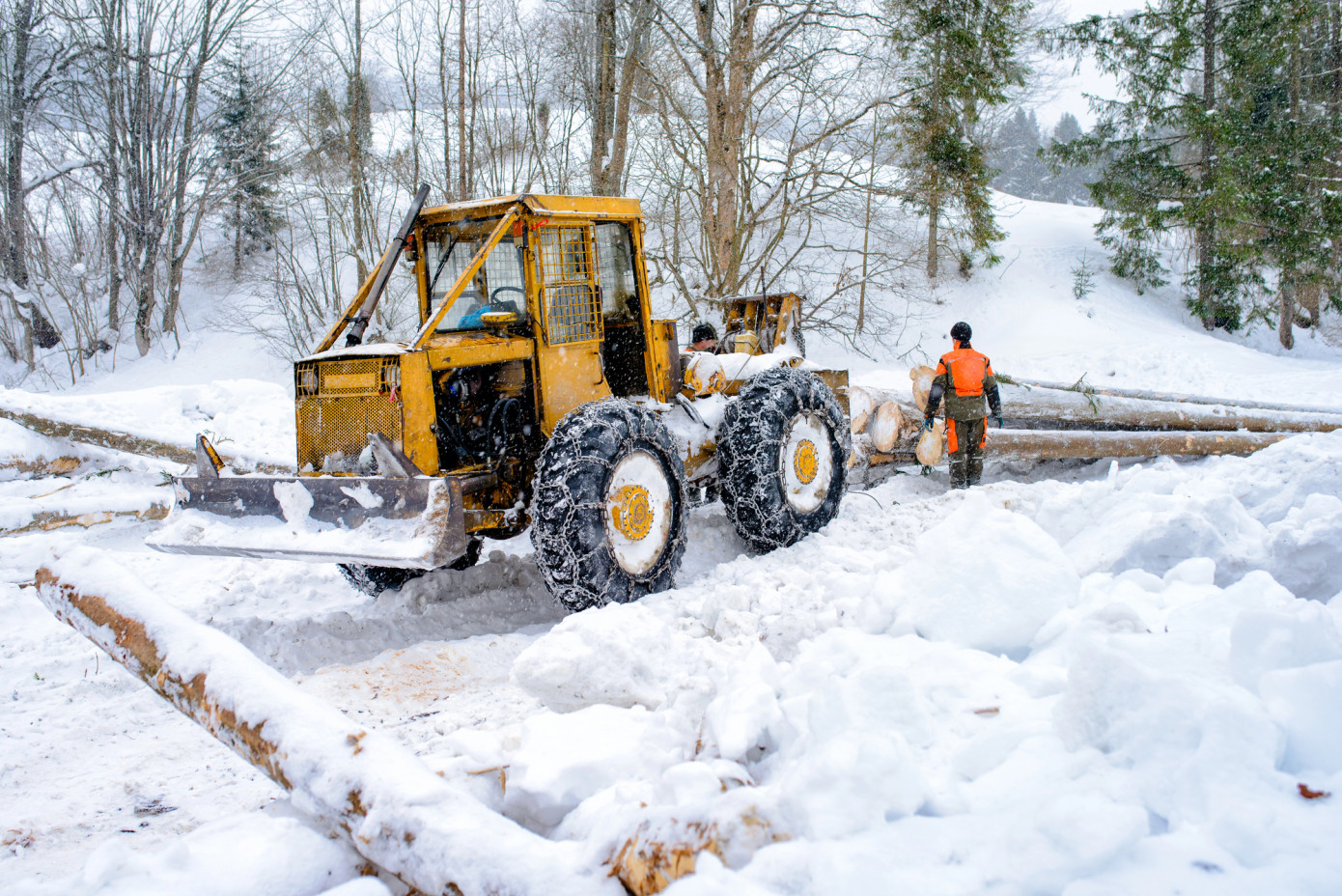 Russian sawmills face billions in retroactive forest rent bills as crisis deepens