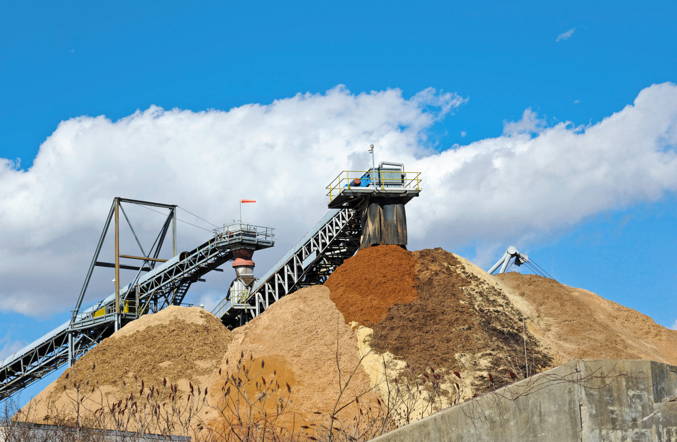 Exports of wood chips from Vietnam to China shoot 93% in February