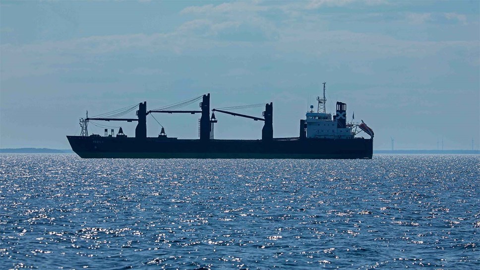 Кризис в Красном море создает угрозу для шведского экспорта лесопромышленной продукции