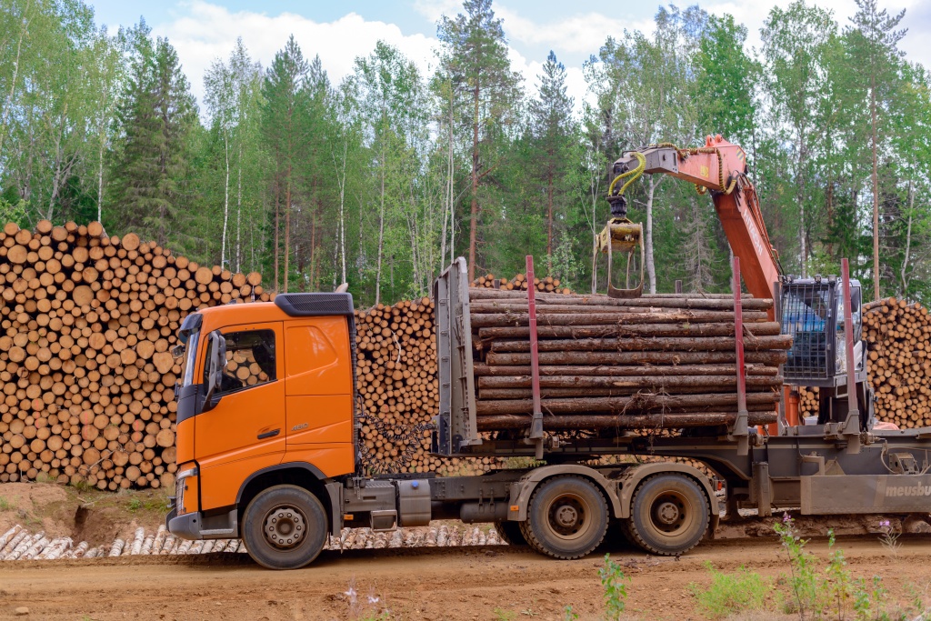 СЛПК прошел аудит цепочки поставок