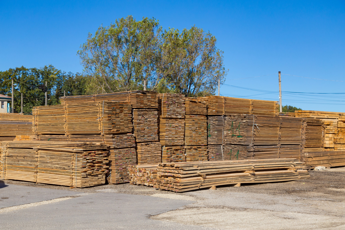 New Zealand export lumber price jump 38% in August 2021