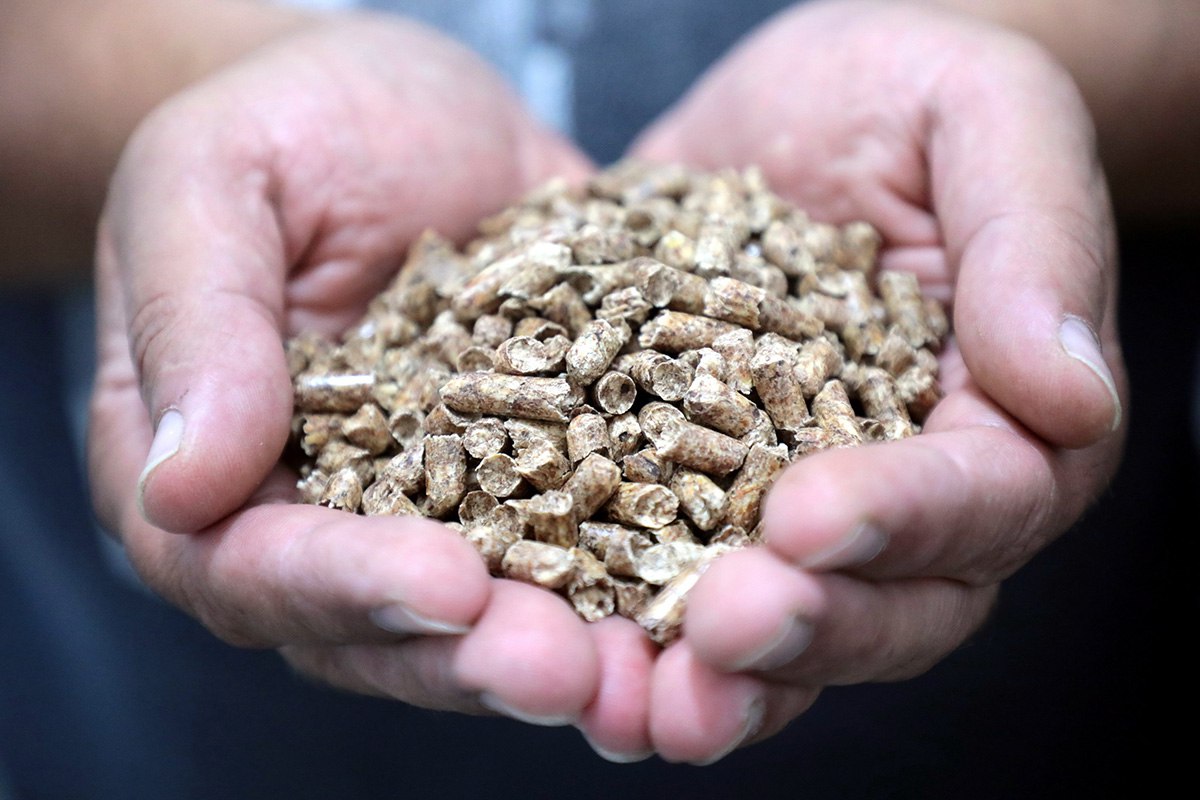 В 2025 г. объем потребления топливных пеллет в Республике Беларусь превысил 50 тыс. т