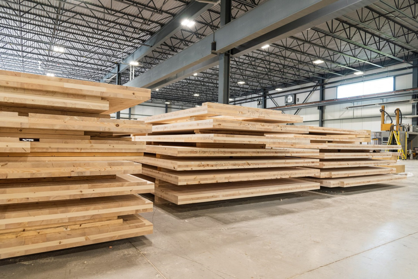 Hasslacher Group invests in  Ontario mass timber producer Element5