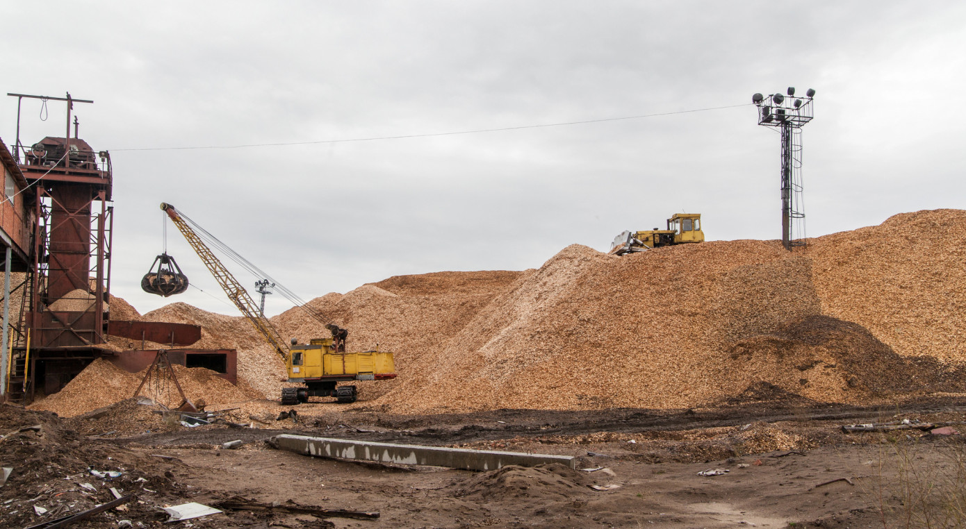 В феврале экспортная цена на древесную щепу из Чили увеличилась на 13%