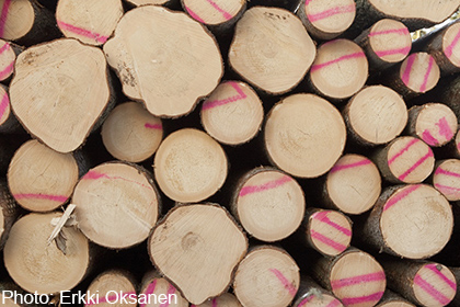 German logs export price increases 52.2% in September 2021
