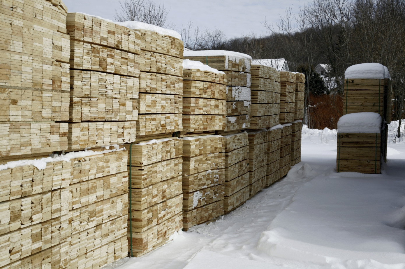 EOS and CEI-Bois request for Japanese imports ban on Russian wood products