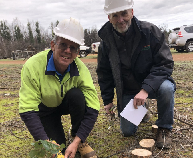 Kangaroo Island Plantation Timbers received $5.5 million grant for its pellet mill in Australia