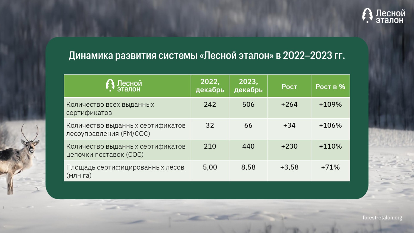 В 2023 г. в России выдано более 500 сертификатов системы «Лесной эталон»