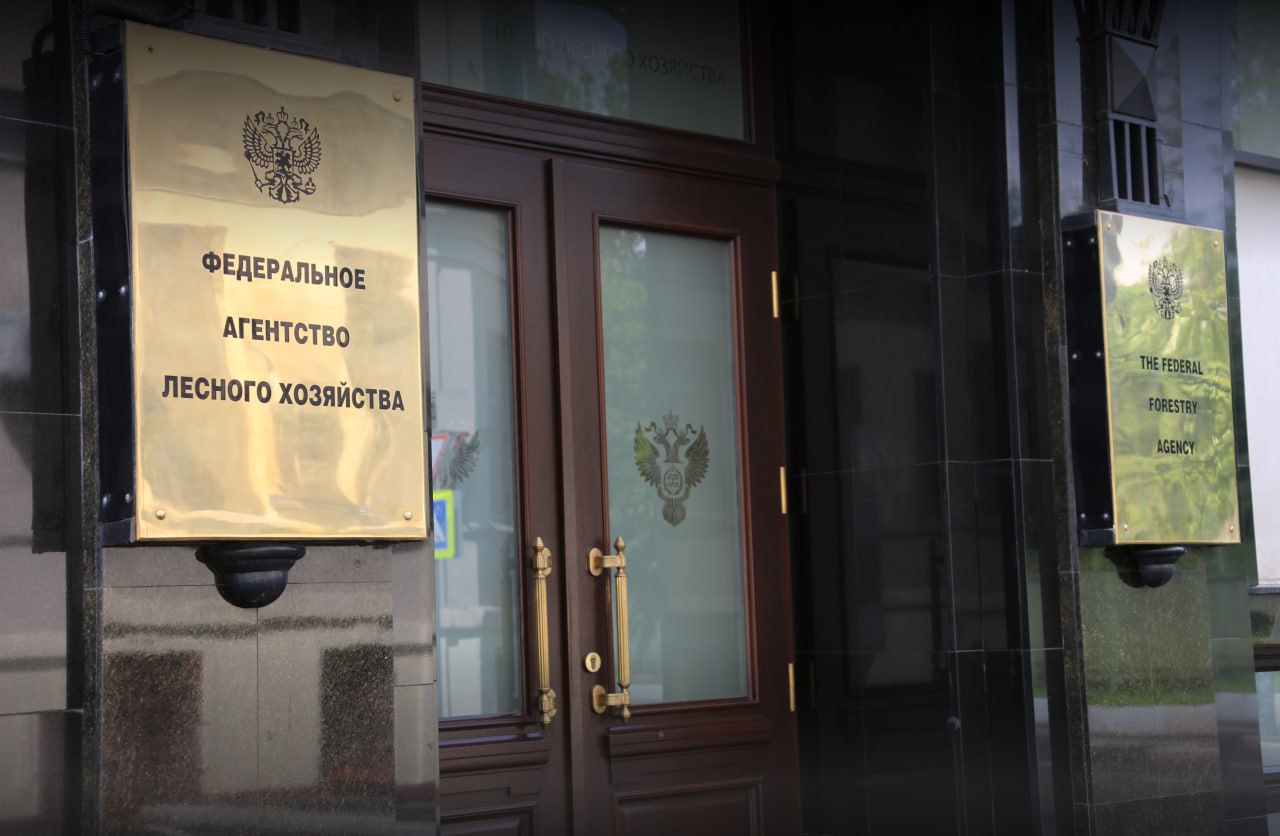 «Рослесхоз»: в состав проекта освоения лесов внесены изменения