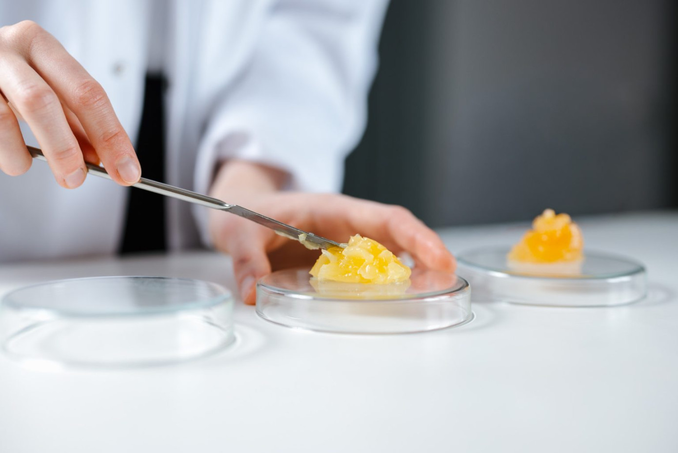 Latvijas Finieris commences large-scale birch-based oleogel production