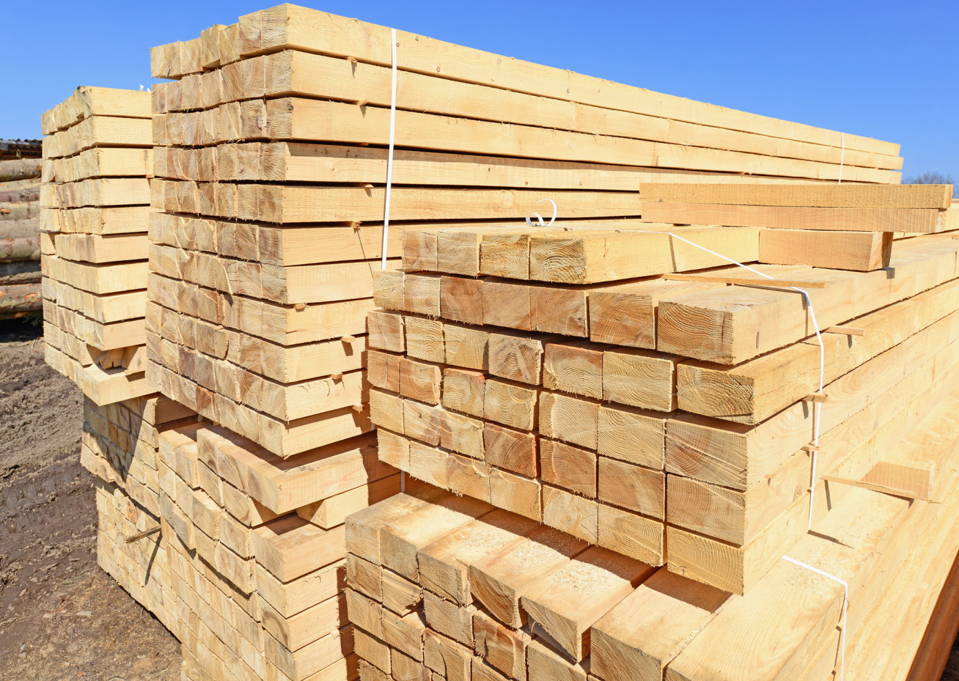 Softwood lumber prices post strong gain in April