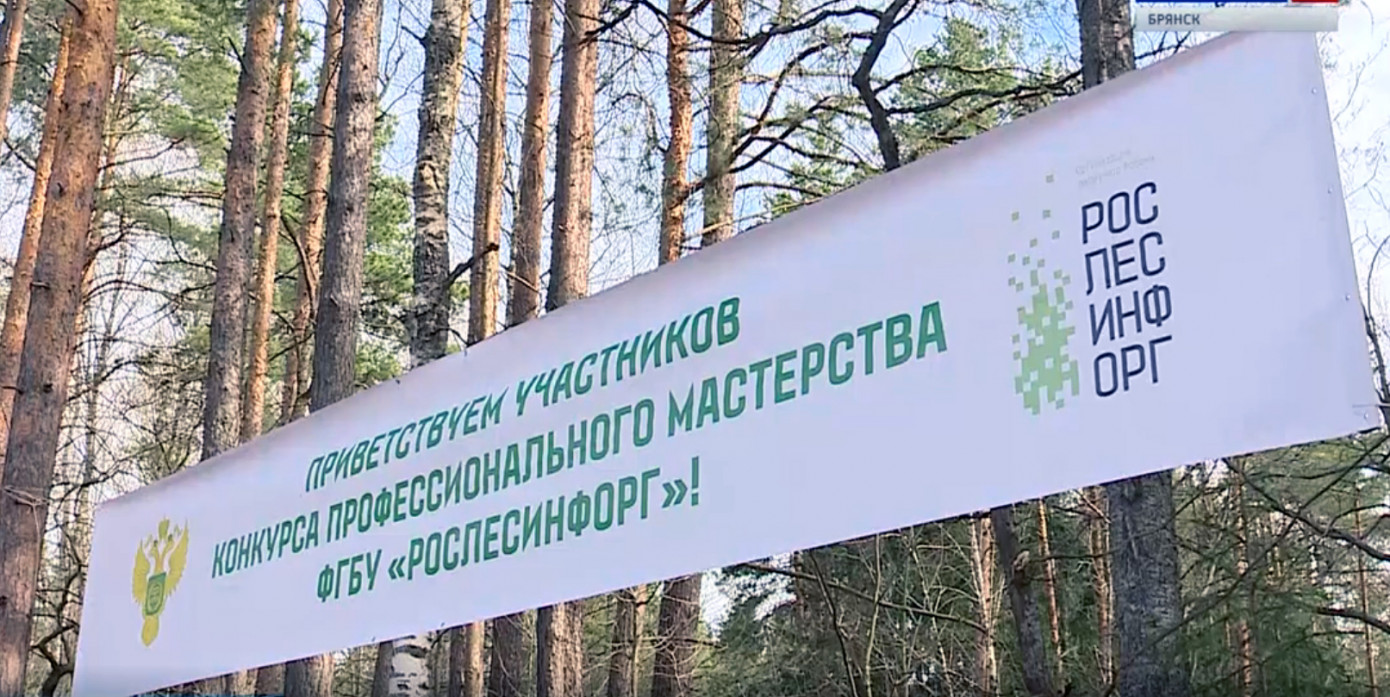 Фгбу рослесинфорг карта