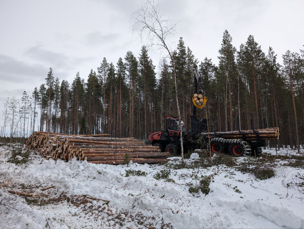 Сегежский ЦБК начал испытания лесозаготовительной техники, разработанной совместно с «КАМАЗом»