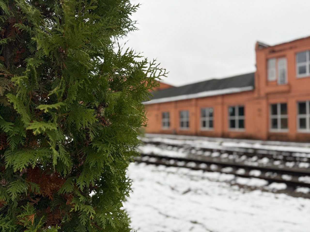 «Свеза» в Санкт-Петербурге завершила второй этап проекта «Антизима»