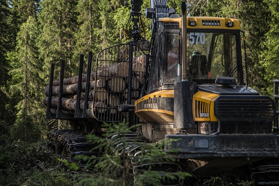 В январе-апреле 2020 г. Segezha Group увеличила объем лесозаготовки в Карелии на 45%