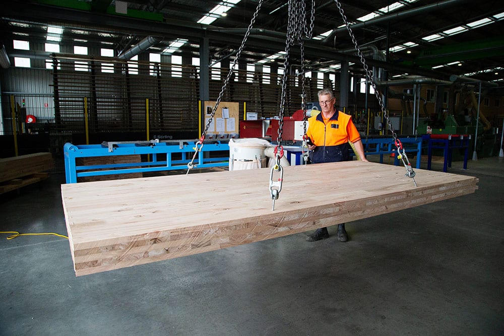 CLTP Tasmania launches world’s first hardwood CLT