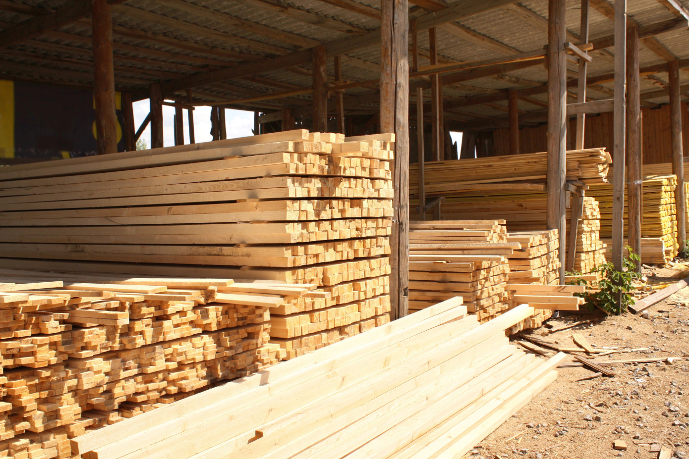 Softwood lumber prices in Canada drop 11% in April, largest fall since June 2022