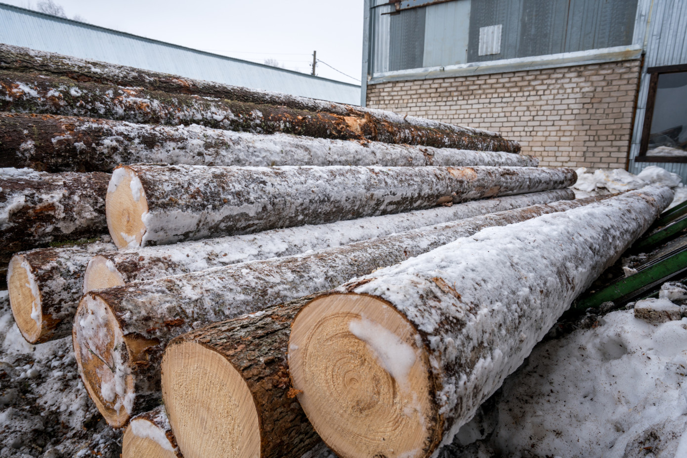 Swedish forest owners anticipate record profits in early 2024, despite dip in logging activity