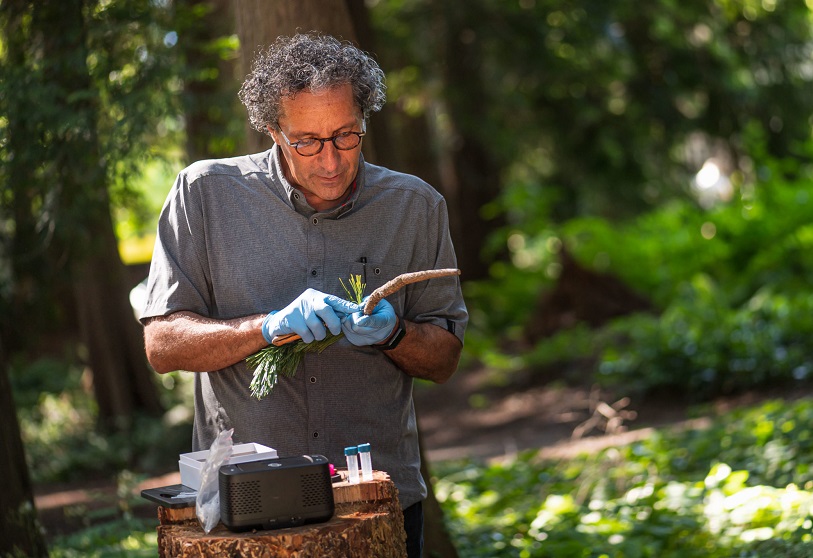 UBC Faculty of Forestry developed portable DNA device detecting tree pests