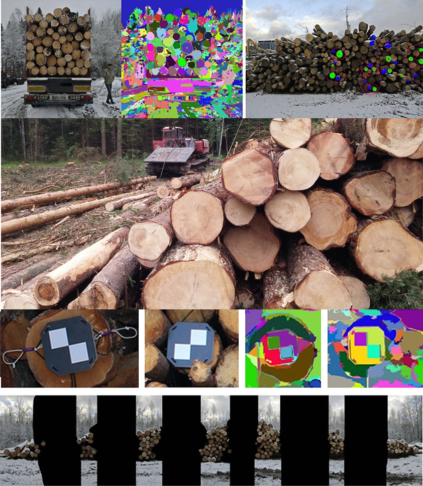 учет круглых лесоматериалов