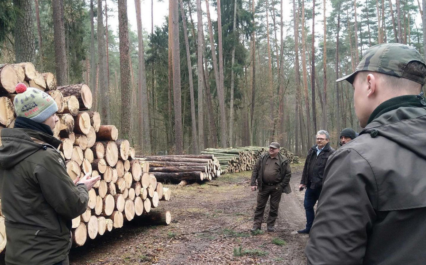 The State Forests of Poland National Holding partners with Timbeter