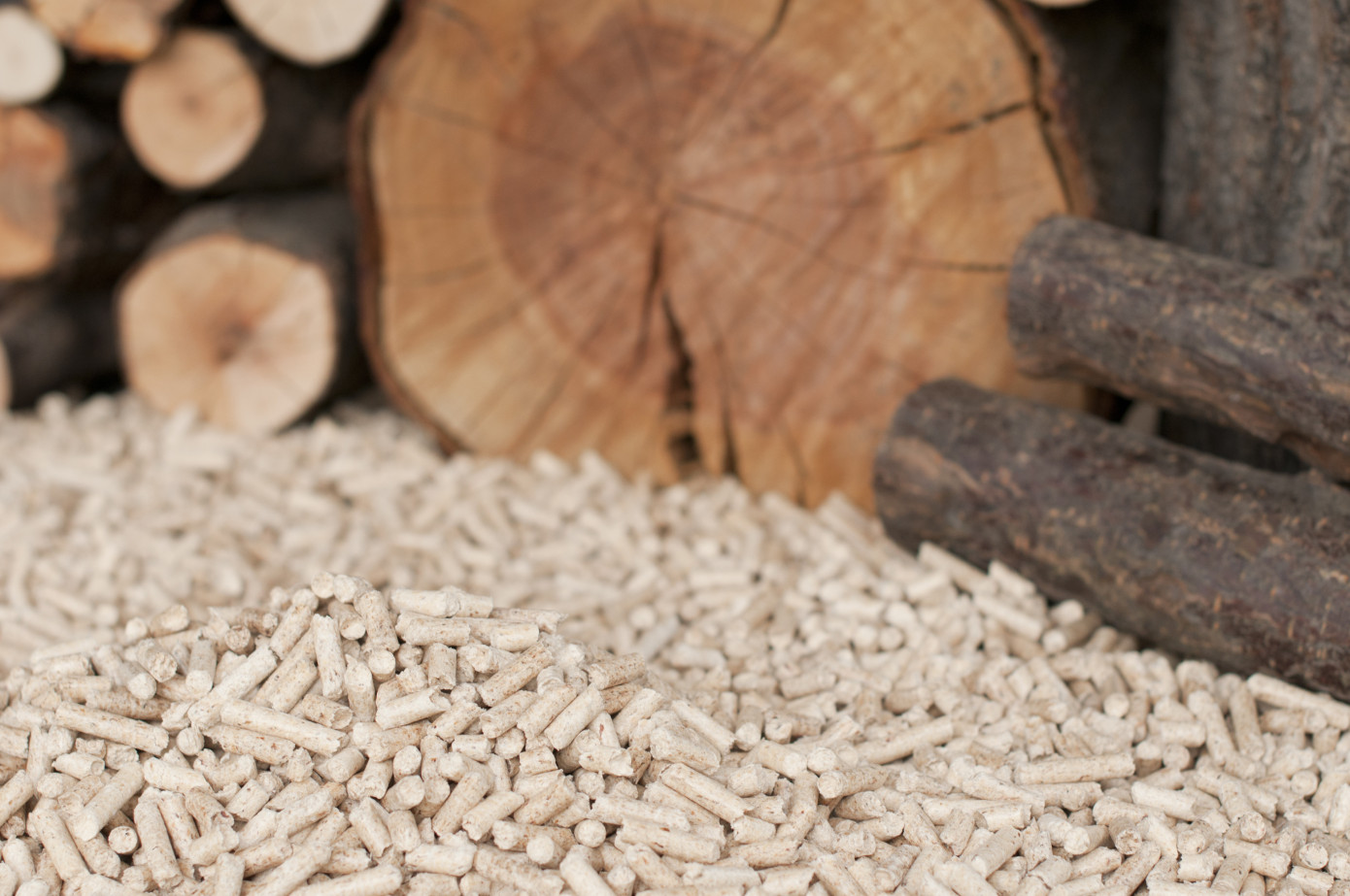 In February, price for wood pellets exported from U.S. gains 4%