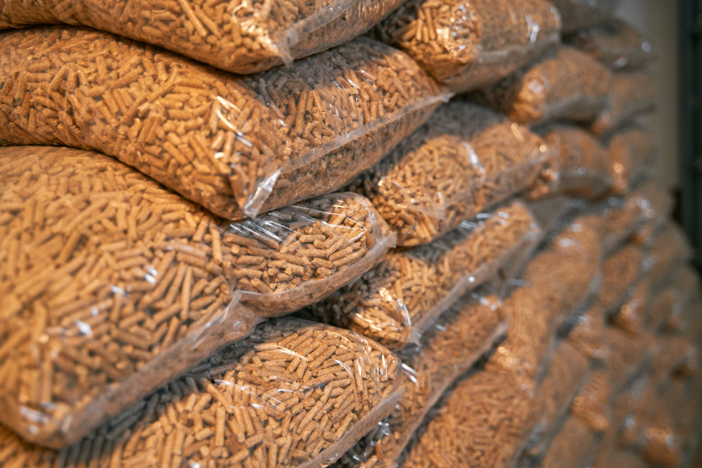 Japan boosts wood pellet imports by 24% in Q1 2024