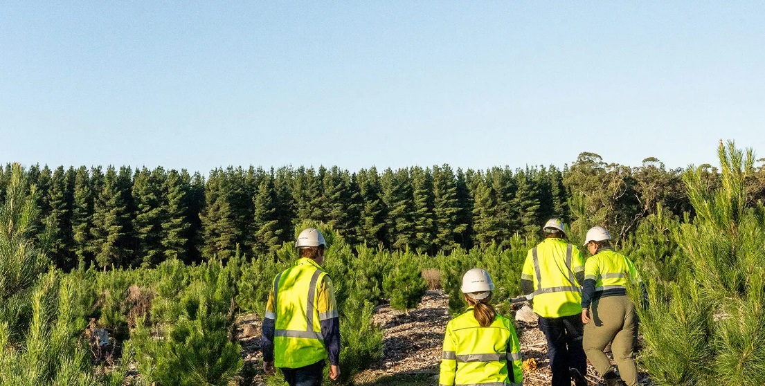 OneFortyOne expands its Green Triangle, Australian plantation forestry estate by 15%