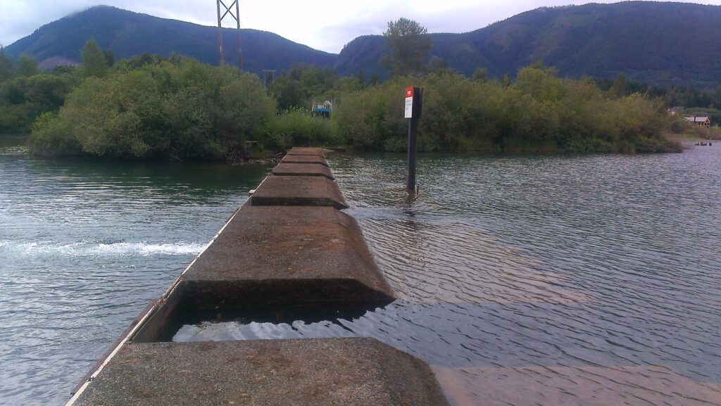 Catalyst Crofton to resume regular seasonal operation of Cowichan Lake weir in early April