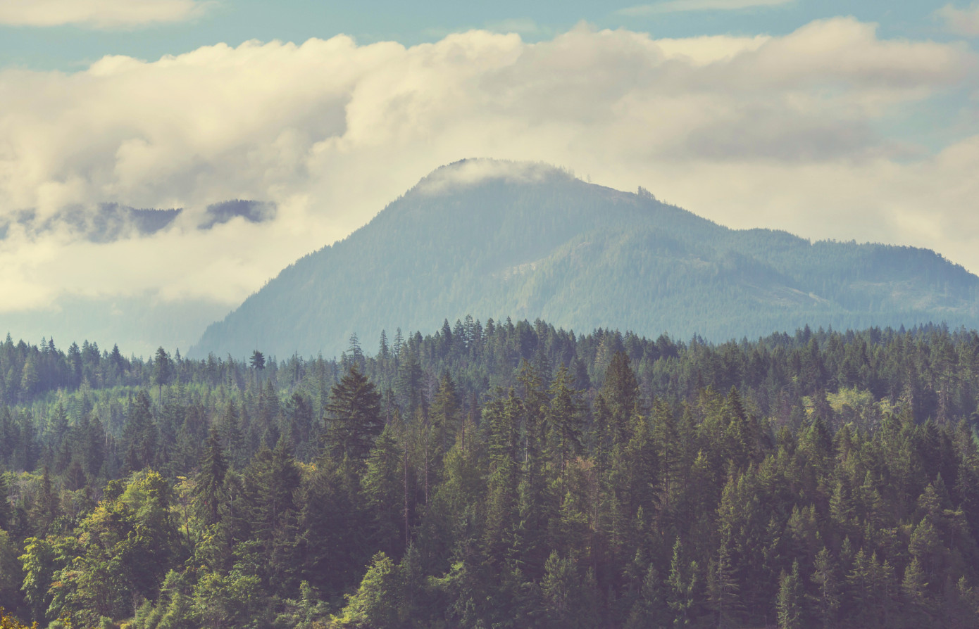 BC and ‘Namgis First Nation Forge Sustainable Forestry Partnership