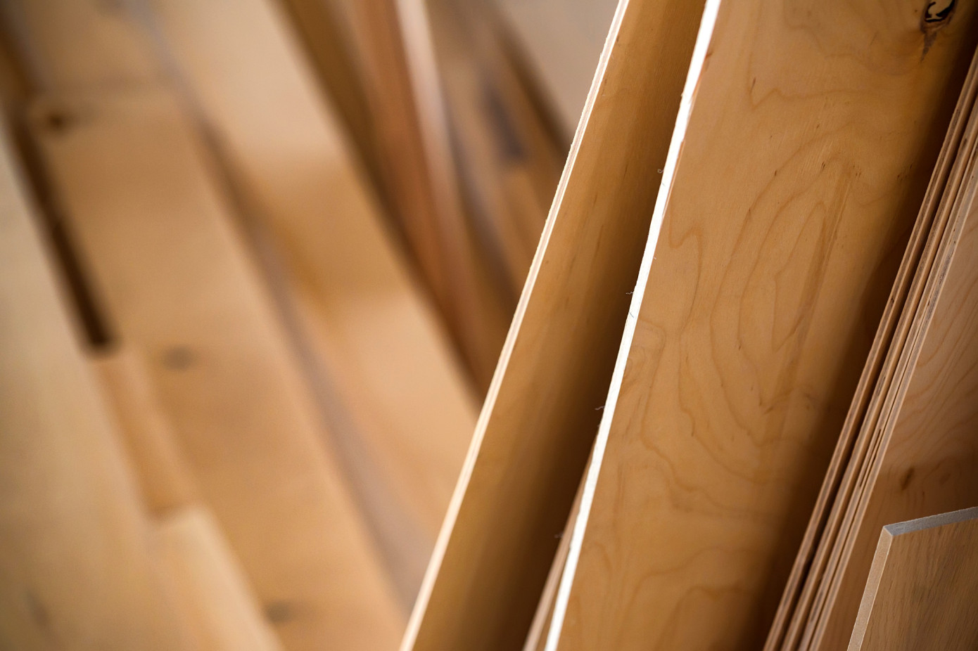 In January, price for plywood imported to UK loses 18%