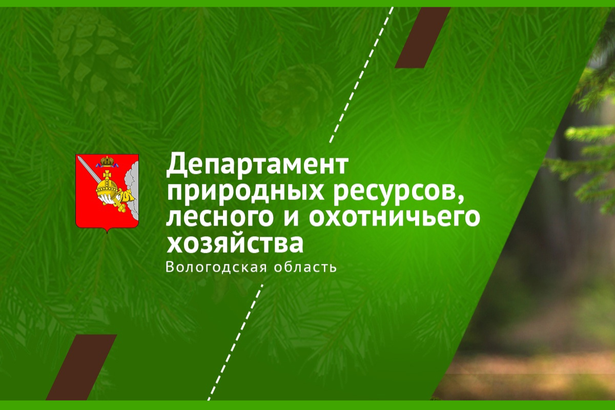 В Вологодской обл. создан Департамент природных ресурсов, лесного и охотничьего хозяйства