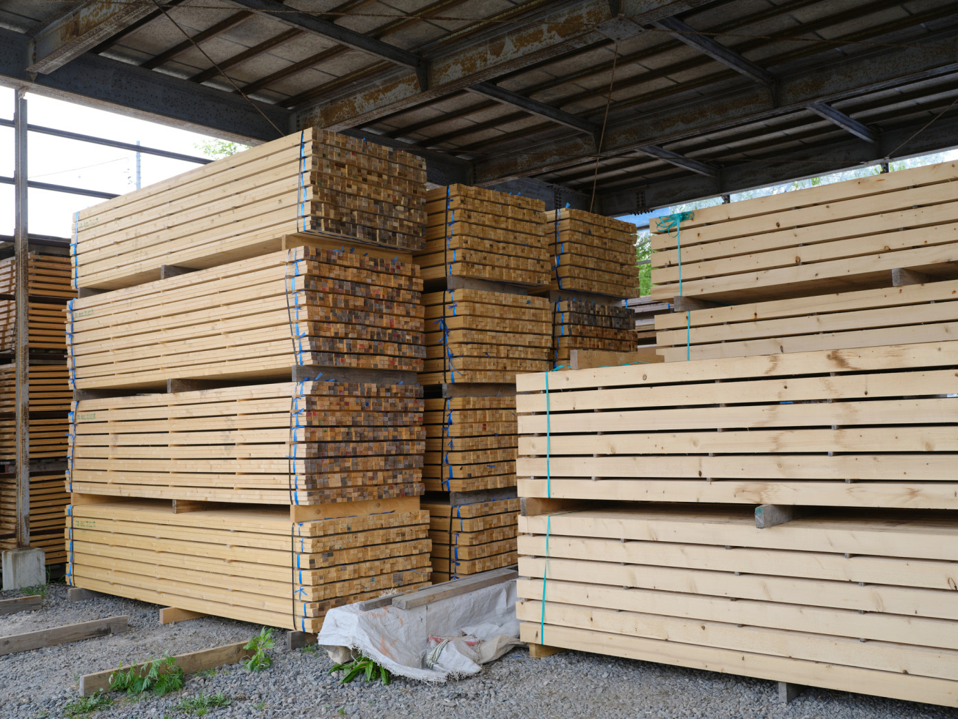 True winter weather brings lower lumber prices in North America
