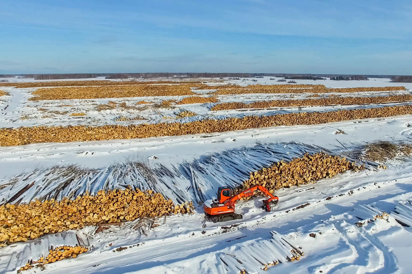 Импорт хвойного круглого леса в Китай упал в декабре на 22%