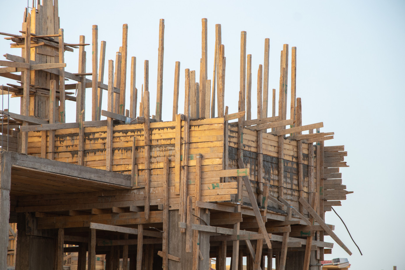 Spruce lumber price in Egypt continues rapid growth, adding 13% in February