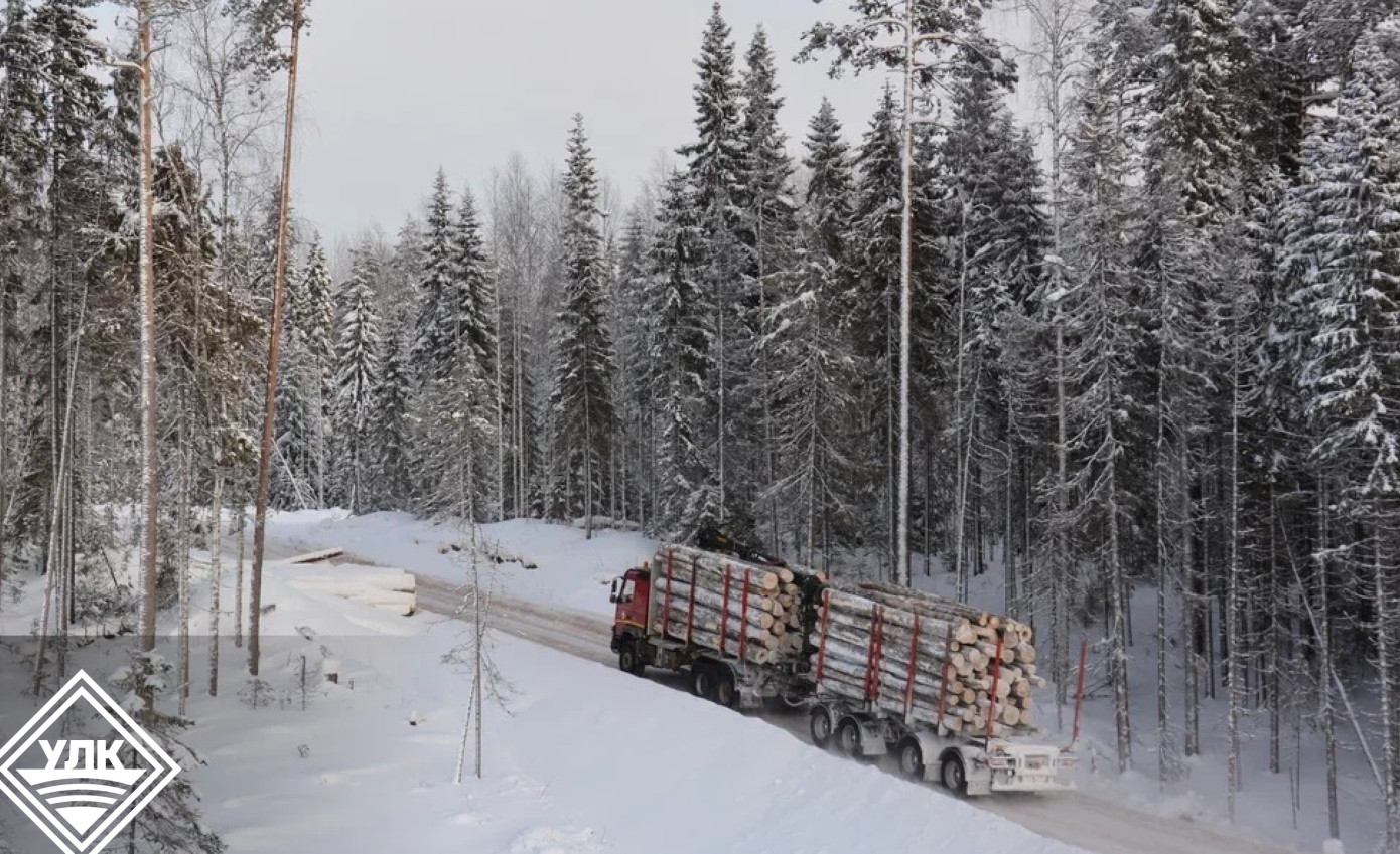 Вельский леспромхоз построит более 120 км лесовозных дорог