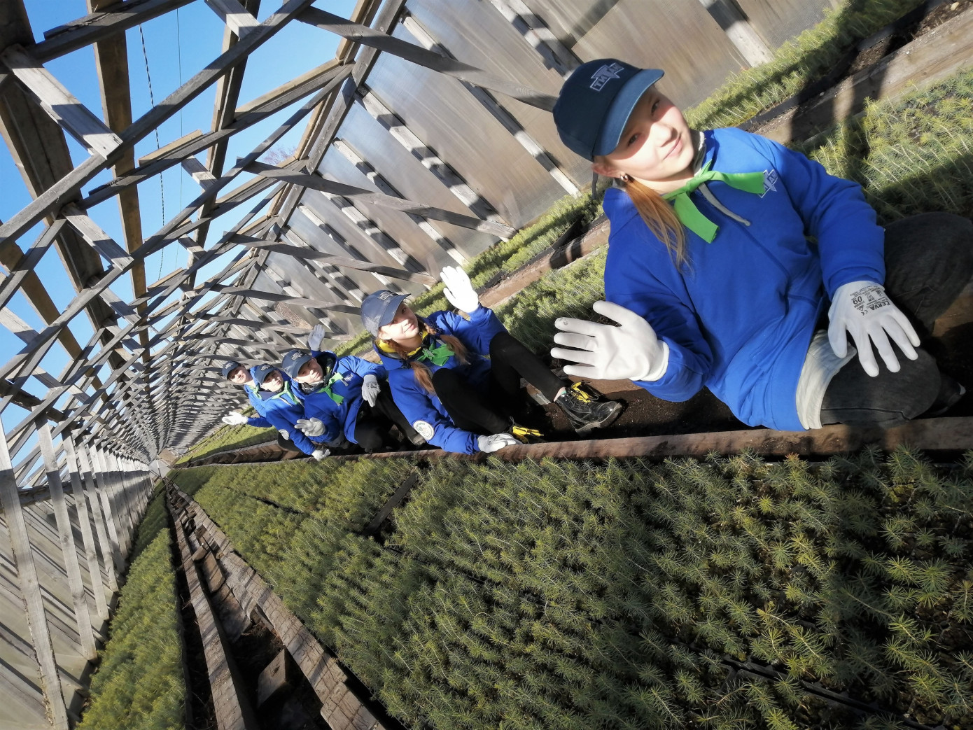 Группа компаний «Титан» построит новое тепличное хозяйство в Пинежском районе Архангельской обл.