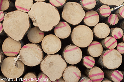 Exports of logs from Lithuania decline 51% in January
