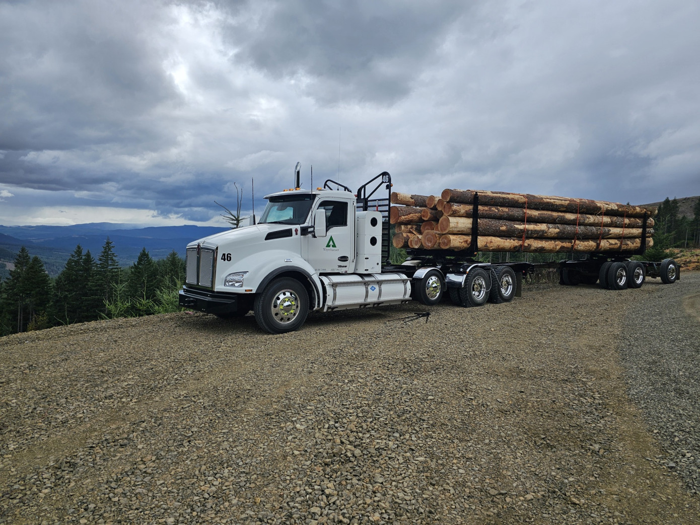 Weyerhaeuser снижает продажи