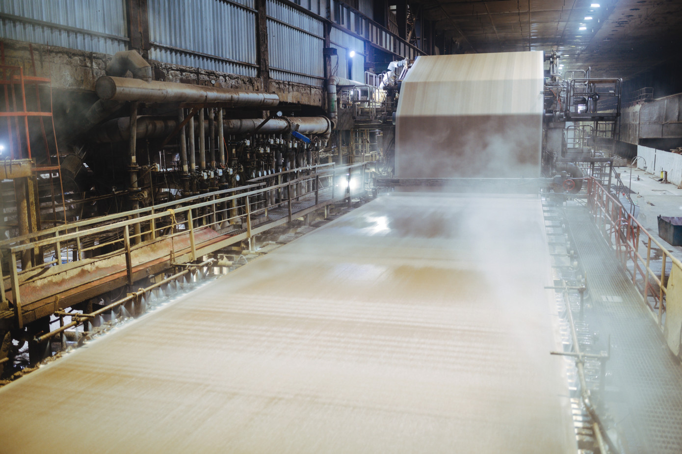 Exports of bleached kraft pulp from Uruguay to China grow 30% in June