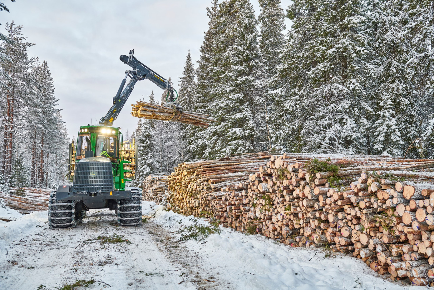 Sveaskog lowers timber prices across Sweden