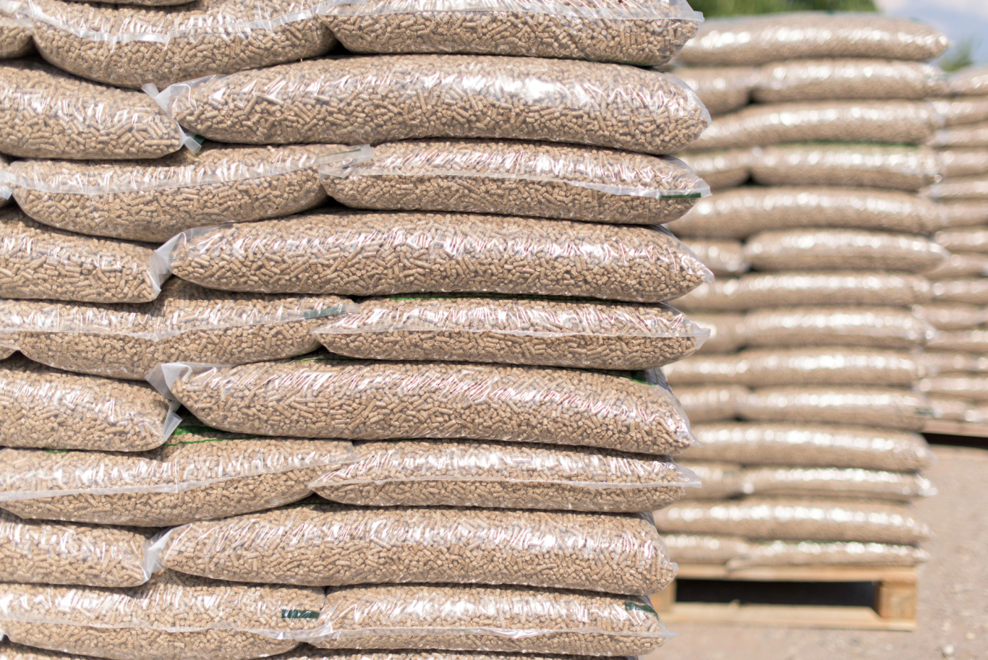 Japan"s wood pellet imports surge to record highs in 2023
