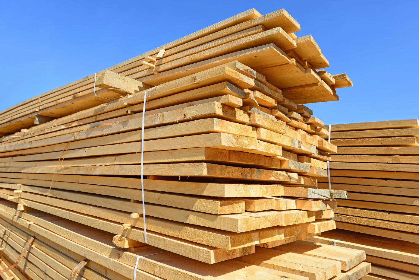 Imports of lumber to Kazakhstan grow 35% in November