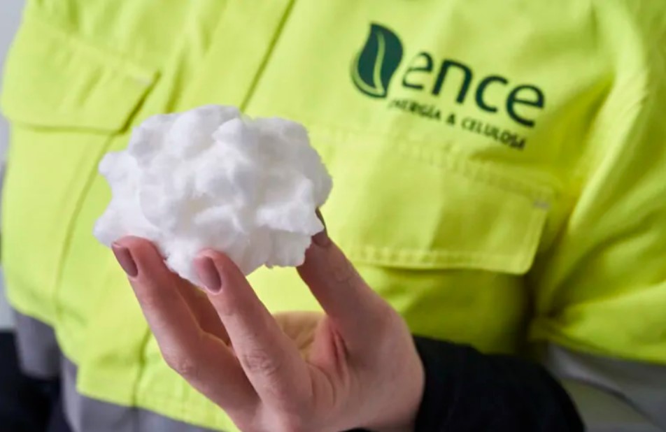 Ence begins work on cellulose fluff project at Navia biofactory in Spain