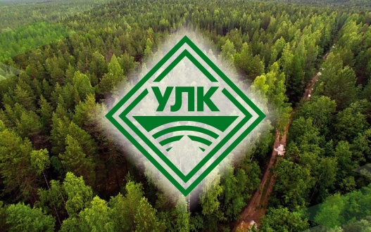 Проект лесопильного завода Пинежского ЛПК прошел государственную экспертизу