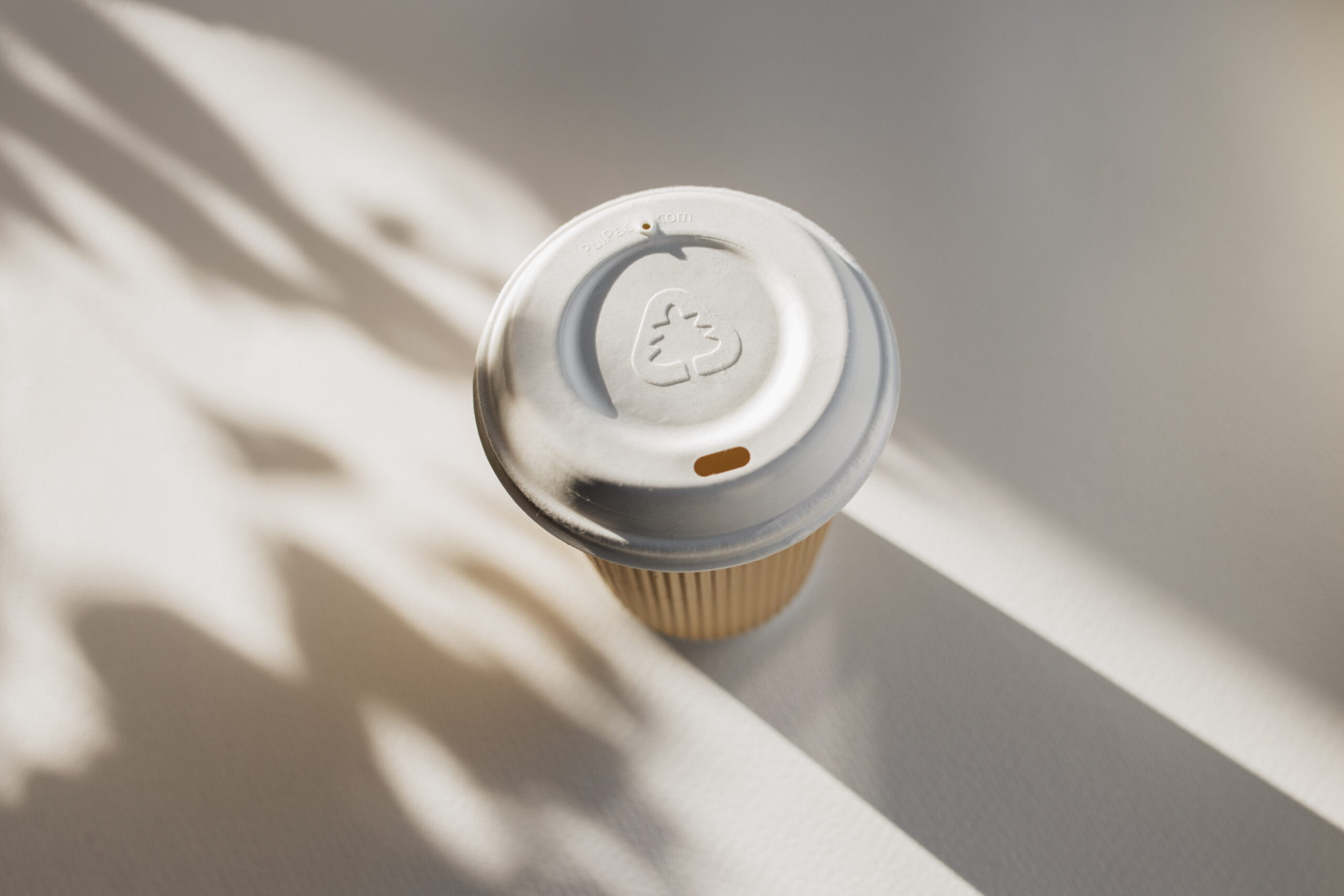 HZ Green Pulp начала коммерческое производство изделий из сухого формованного волокна