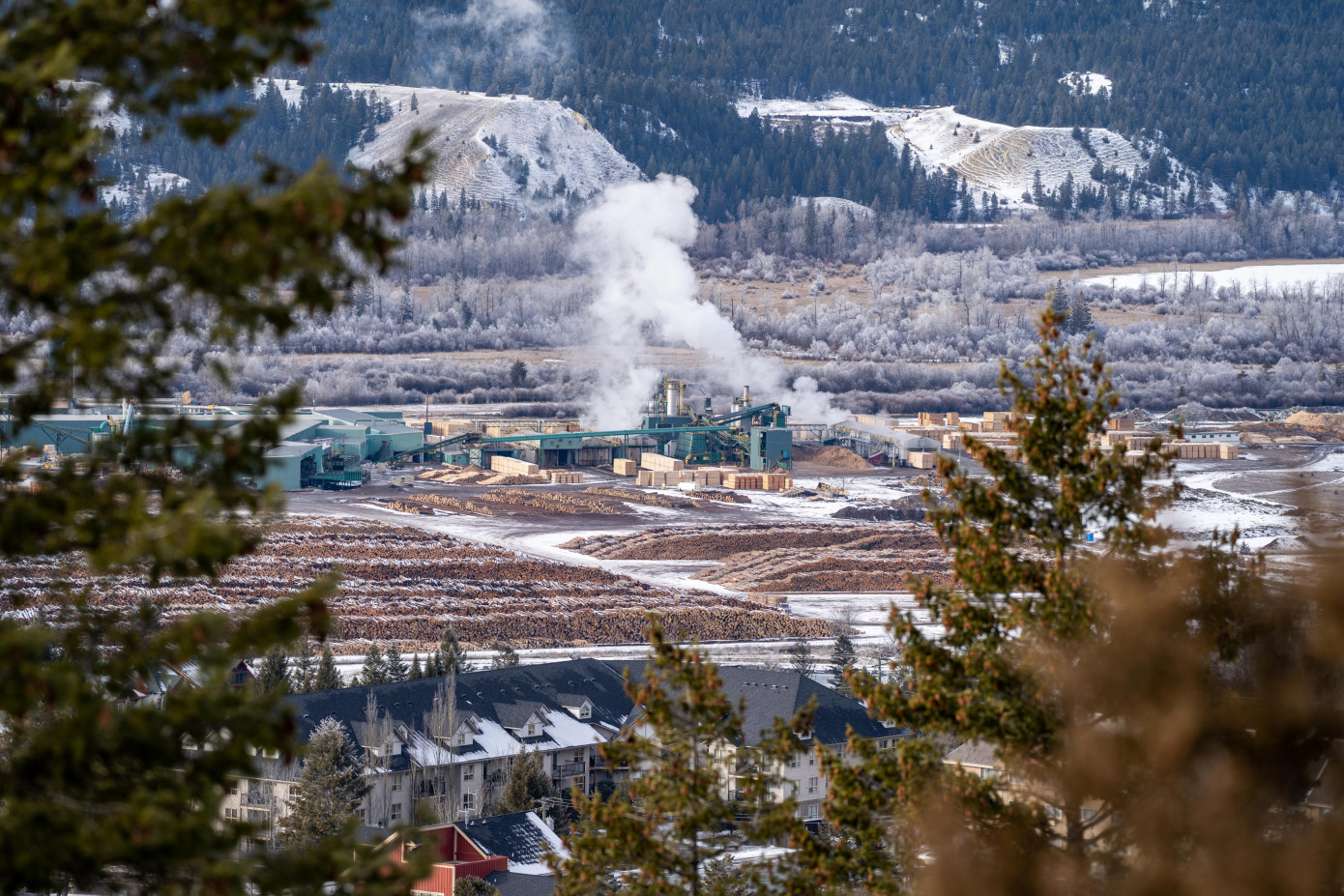 Canfor to curtail BC production capacity in December
