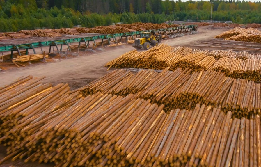 Две лесопромышленные компании получили финансовую поддержку правительства Карелии